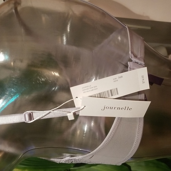 ❤❤️ NWT -  Journelle Daphne Demmi Lace Bra - Dove -  34C - Picture 4 of 5